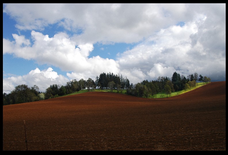 Hilly Farmland East of Scio